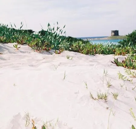 Daire La Pelosa Stintino